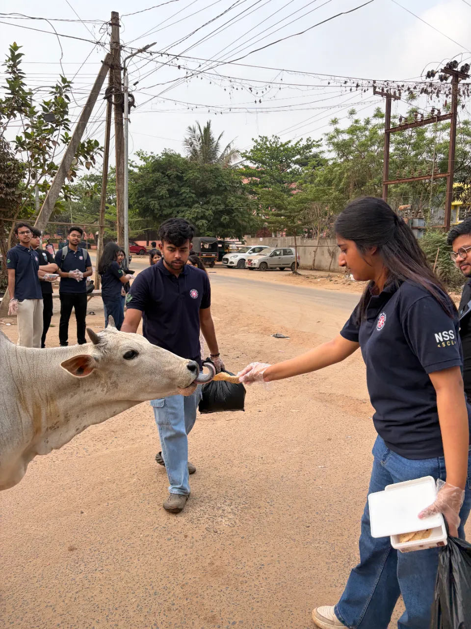Animal Feeding Drive 
