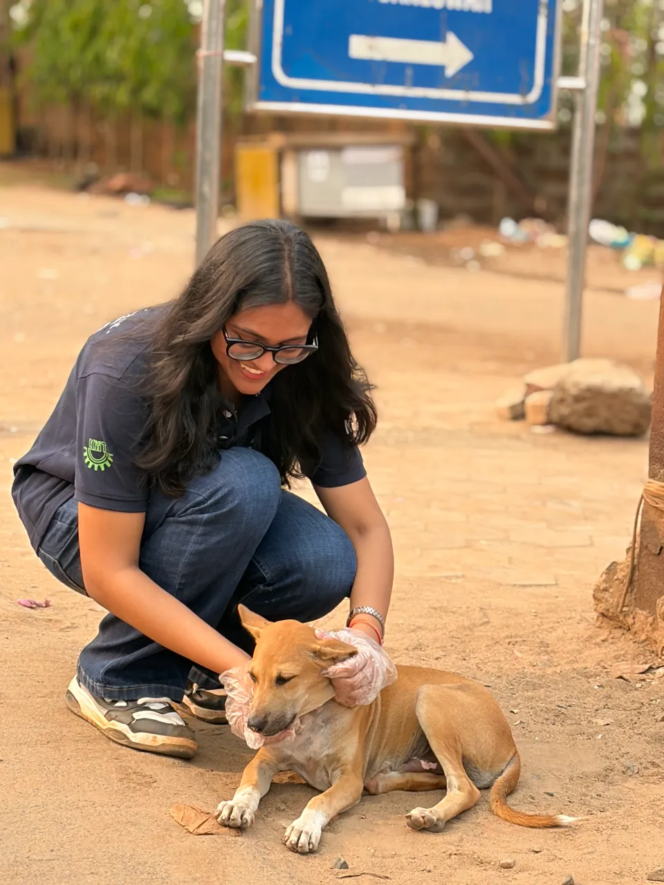 Animal Feeding Drive 