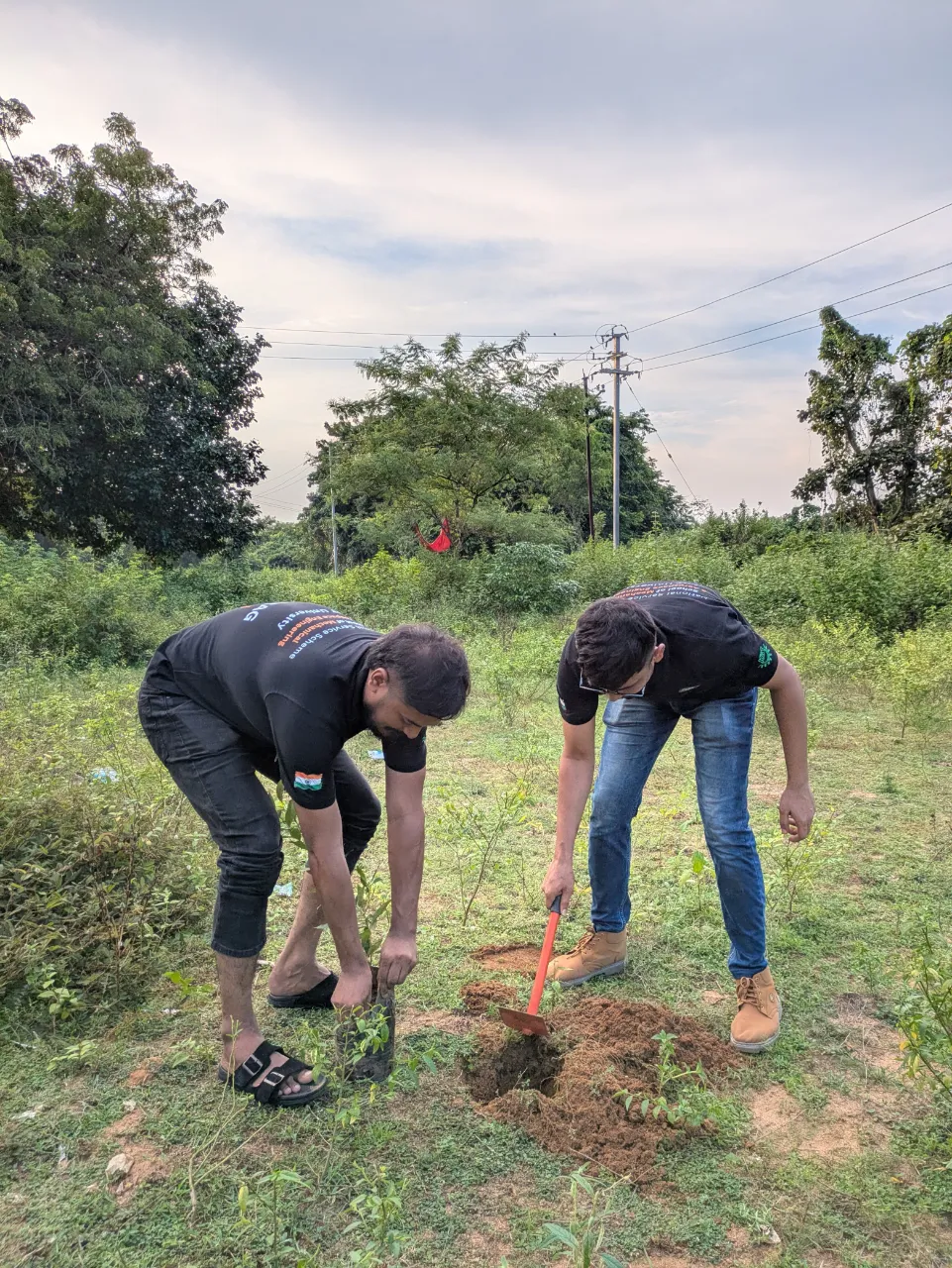 Plantation Drive