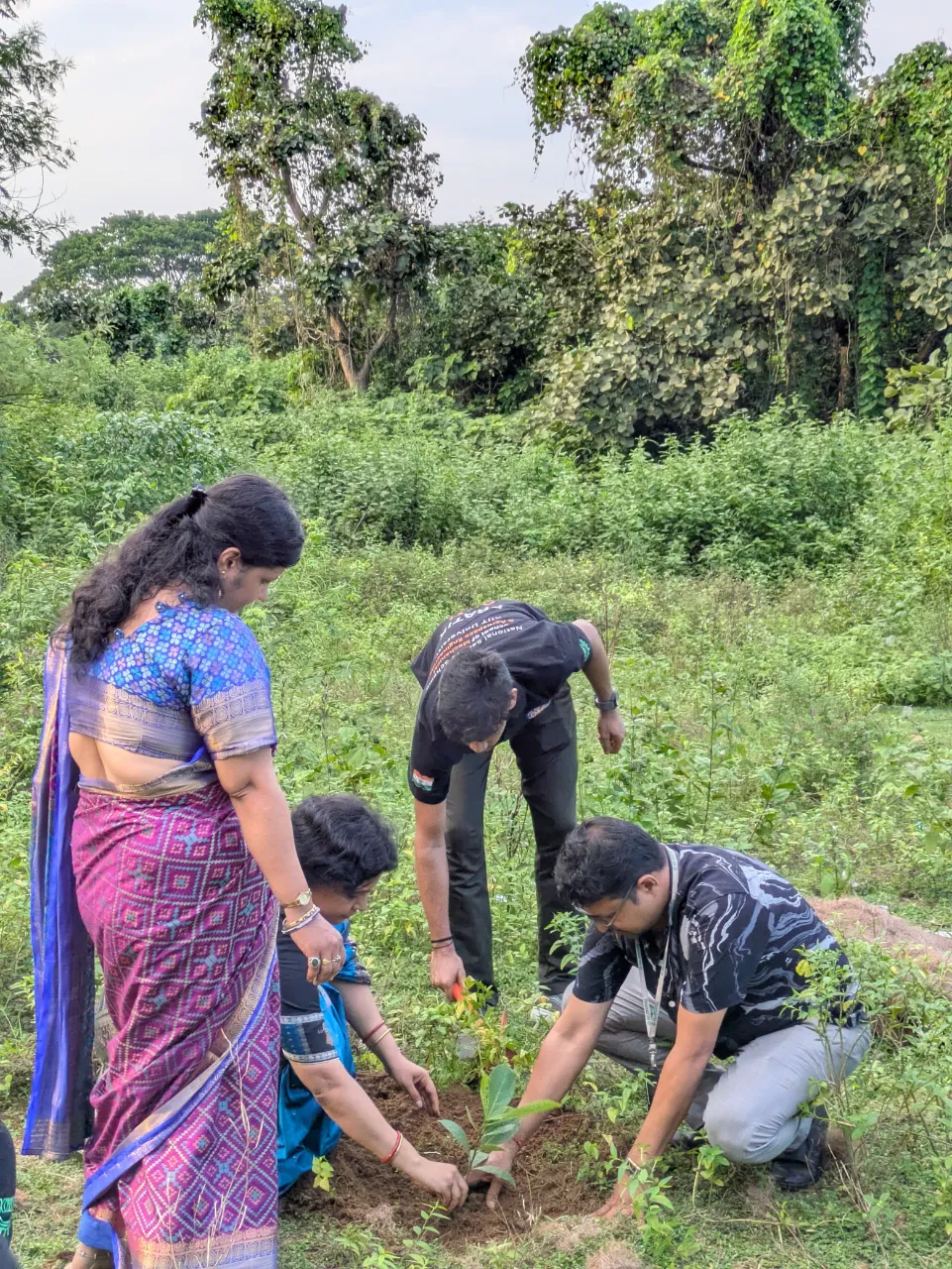 Plantation Drive