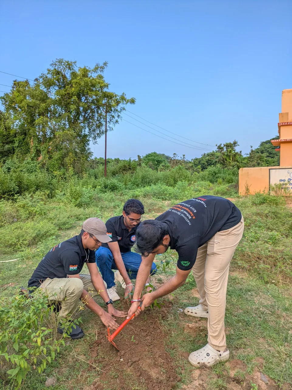 Plantation Drive